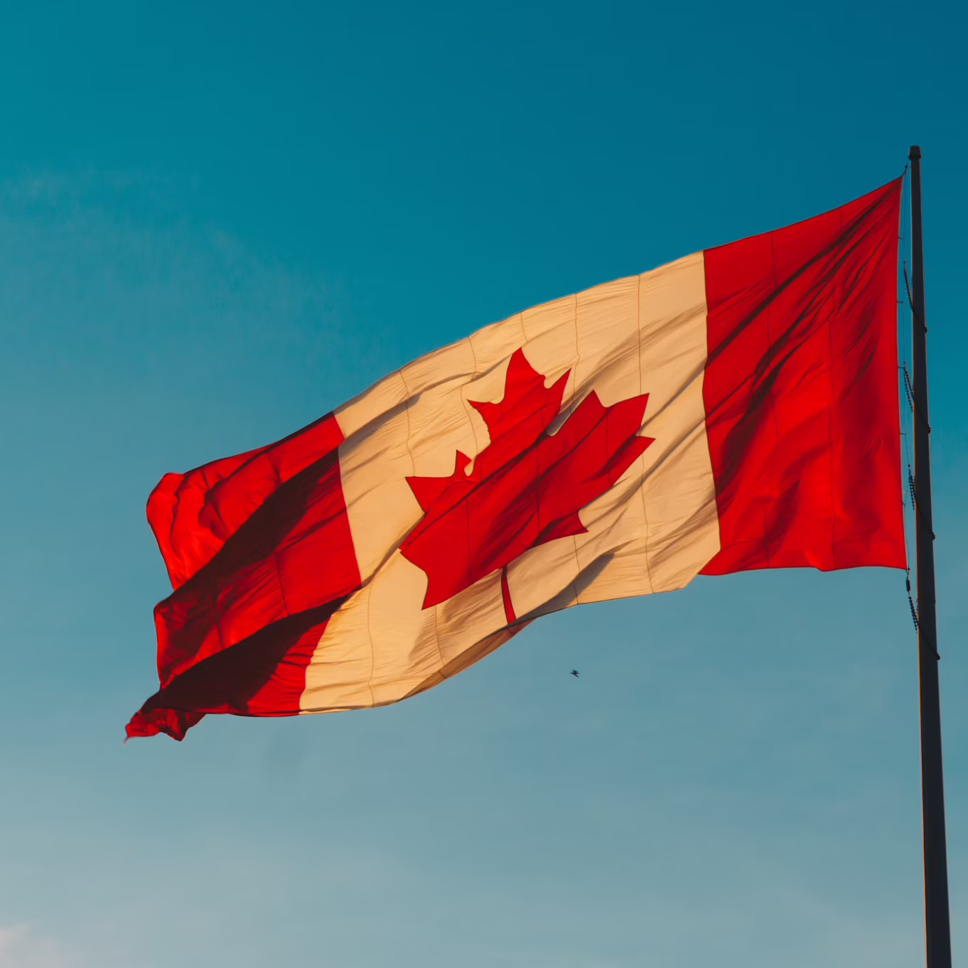 canada flag canada flag